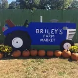 Briley's Farm Market photo