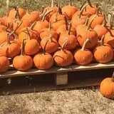 Briley's Farm Market photo