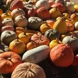 Briley's Farm Market photo