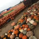 Briley's Farm Market photo