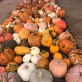 Briley's Farm Market photo