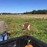 Briley's Farm Market photo