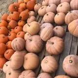 Briley's Farm Market photo
