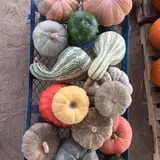 Briley's Farm Market photo