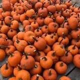 Briley's Farm Market photo