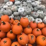 Briley's Farm Market photo