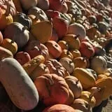 Briley's Farm Market photo