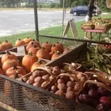 Briley's Farm Market photo