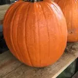 Briley's Farm Market photo