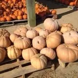 Briley's Farm Market photo