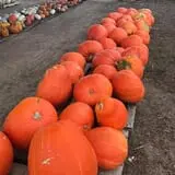 Briley's Farm Market photo