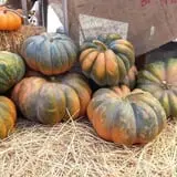 Briley's Farm Market photo