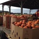 Briley's Farm Market photo