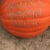Briley's Farm Market photo