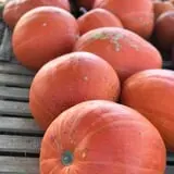 Briley's Farm Market photo