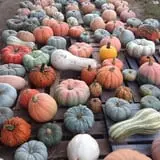 Briley's Farm Market photo