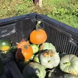 Briley's Farm Market photo