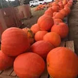 Briley's Farm Market photo