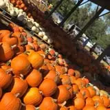 Briley's Farm Market photo