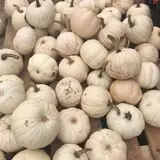 Briley's Farm Market photo