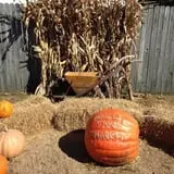 Briley's Farm Market photo