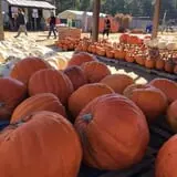 Briley's Farm Market photo