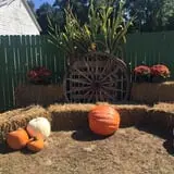 Briley's Farm Market photo