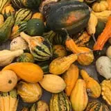 Briley's Farm Market photo