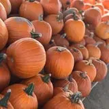 Briley's Farm Market photo