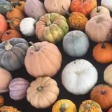 Briley's Farm Market photo