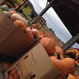 Briley's Farm Market photo