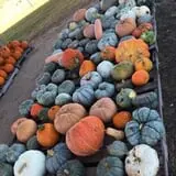 Briley's Farm Market photo