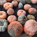 Briley's Farm Market photo