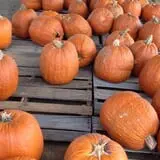Briley's Farm Market photo