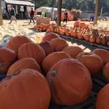 Briley's Farm Market photo