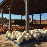 Briley's Farm Market photo