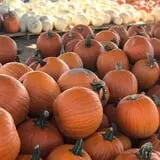 Briley's Farm Market photo