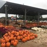 Briley's Farm Market photo