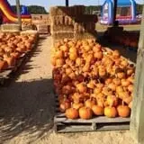 Briley's Farm Market photo