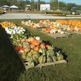 Hinton's Orchard and Farm Market Fall Fun photo