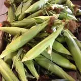 Hinton's Orchard and Farm Market Fall Fun photo
