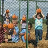 Hinton's Orchard and Farm Market Fall Fun photo