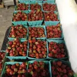 Hinton's Orchard and Farm Market Fall Fun photo