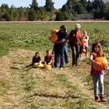 Hinton's Orchard and Farm Market Fall Fun photo