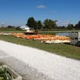 Hinton's Orchard and Farm Market Fall Fun photo