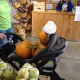 Hinton's Orchard and Farm Market Fall Fun photo