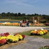 Hinton's Orchard and Farm Market Fall Fun photo