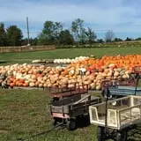Hinton's Orchard and Farm Market Fall Fun photo