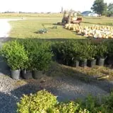 Hinton's Orchard and Farm Market Fall Fun photo