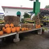 Hinton's Orchard and Farm Market Fall Fun photo